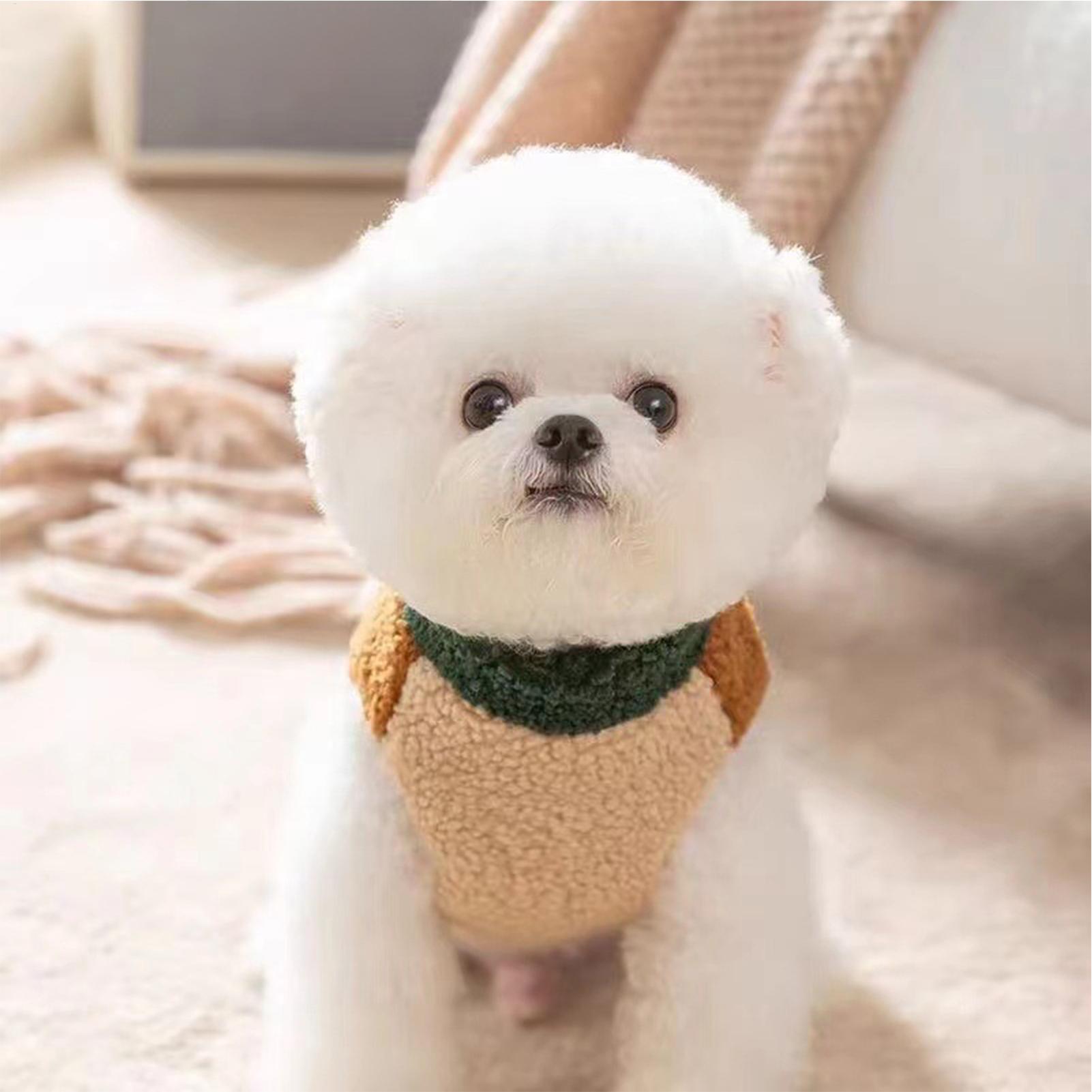 

Dog Clothes Knitwear With Zipper Pet Clothing Dog Sweater For Photography Party Festive Show Parade Family Gathering Fall Winter S