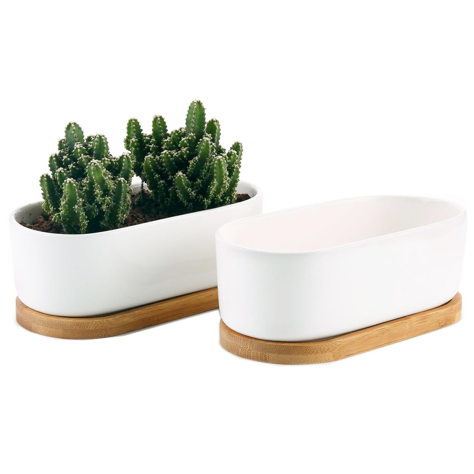 

Facecolor Овальный кактус Набор цветов Суккулент Керамический суккулент Мини керамический кактус Кашпо Маленькие горшки для мини-растений с дренажными отверстиями и