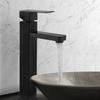 MDNG Tall Black Bathroom Sink Faucet (Hot & Cold)