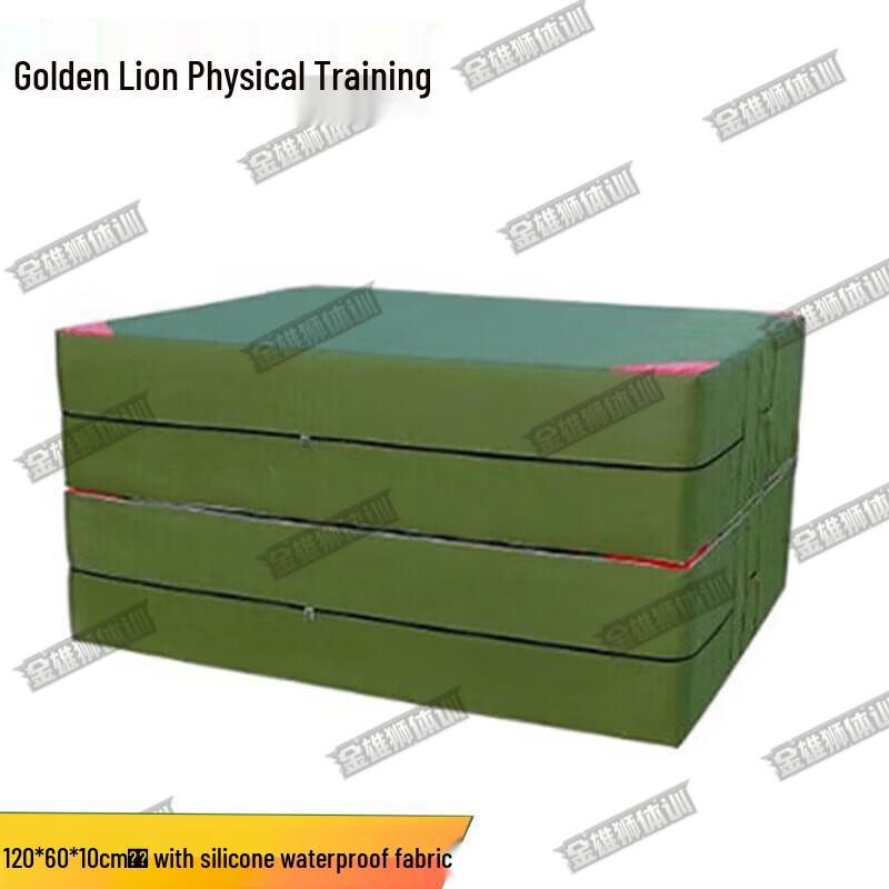 Golden Lion Fitness & Gymnastics Mat