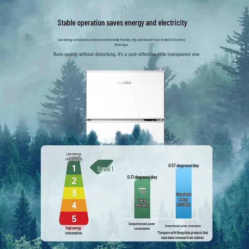Royalstar 58L Mini Double Door Refrigerator CN plug (adapter included)