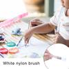 12Pieces Artist Paint Brush Tool Set for Acrylic Oil and Watercolor Painting with Soft Nylon Bristles and Wood Handle