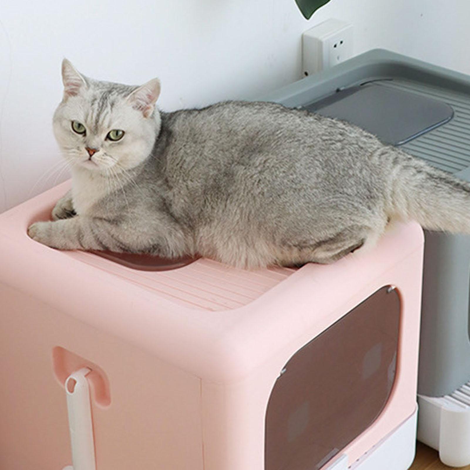 Кошачий лоток большой пластиковый непроливающийся кошачий туалет розовый розовый