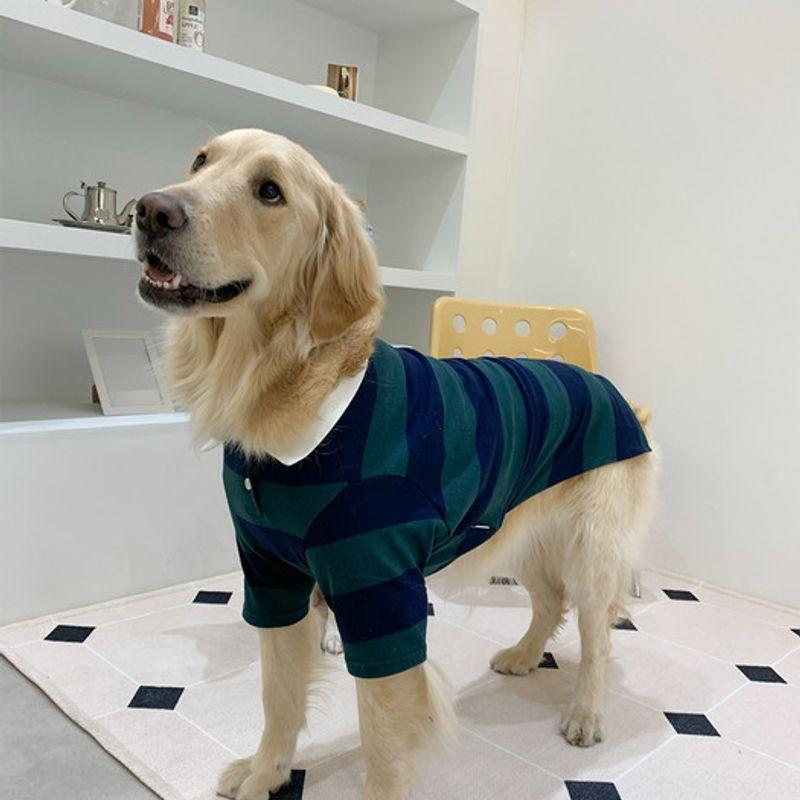 BARKDOG Rugby Stripe PK Carat