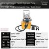 Xuanyong Portable 750W Dual Circuit Electric Hydraulic Pump