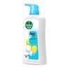 Dettol Healthy Mint Ice Cool Shower Gel