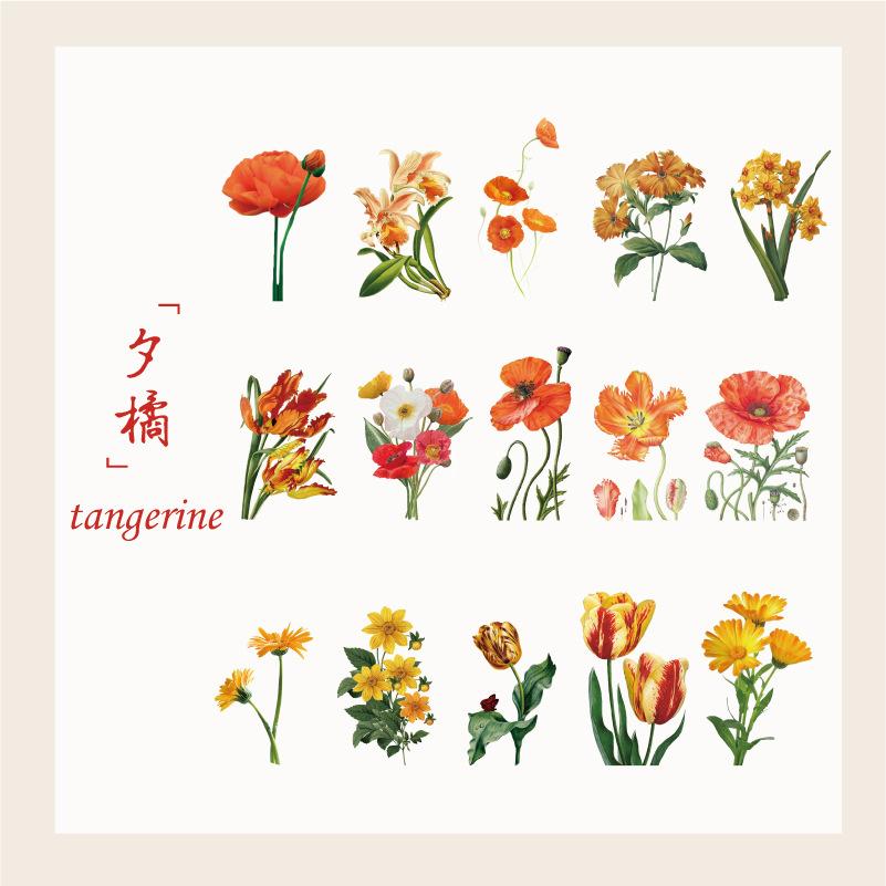 15 pcs Plant and flower PET sticker package Butterfly material sticker hand-decorated hand ledger sticker Junk Journal Supplies