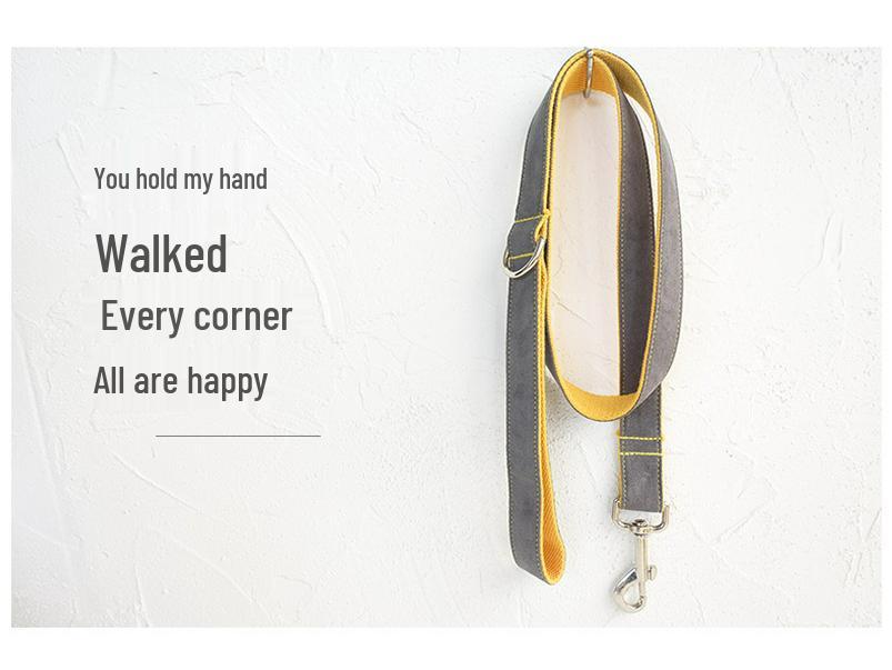 Maßgefertigte graue Hundeleine - Kreatives Design zum Spazierengehen