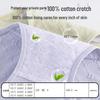 Urban Beauty Women's High-Waist Pure Cotton Antibacterial Underwear 4-Pack