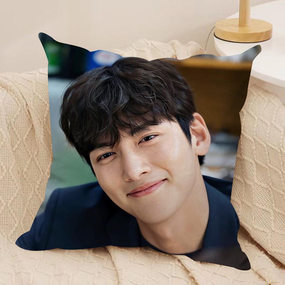 JJi CChang Wook Cushion Cover Silky Short Plush DoubleSided Printed Pillow Case for Sofa All Seasons Home Decor Gift