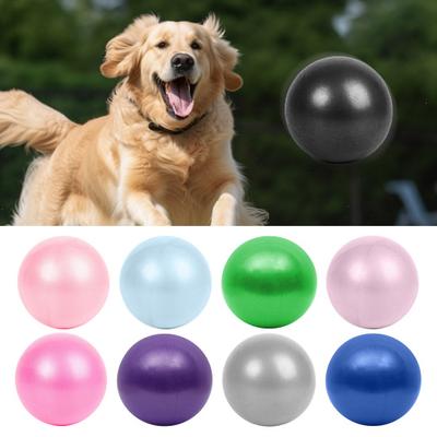 9.8 Inch Herding Ball for Dogs Pet Inflatable Ball Toy Interactive Play Exercise Ball Promotes Physical Health for Small Medium Pets