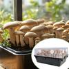 Neue Pilzfilter Scheiben 24 Stück Pilzzucht Box Filter Gemüse Anzucht Werkzeuge Feuchtigkeit Für Gärtner Innen Außen Gesund