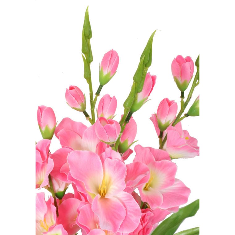 Bouquet of 5 light pink gladioli