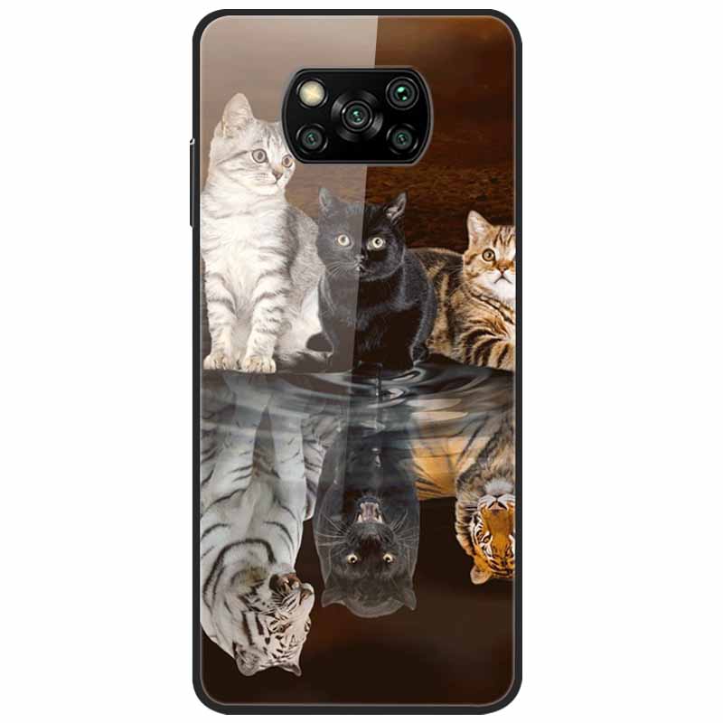 Etui na Poco X3 Pro Modne Urocze Szkło Hartowane Luksusowe Pokrowce Coque dla Xiaomi Poco X3 NFC Etui PocoX3 X 3 Zderzak Ochronny