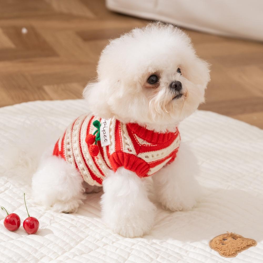 Pet clothes autumn and winter christmas needle red knitted cherry sweater teddy bear small dog two-legged dog clothes