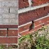 Pack of 40 Weep Hole Vent Covers Steel Brick Wall Weep Vent Covers Set Comprehensive Steel Weep Hole Covers for House