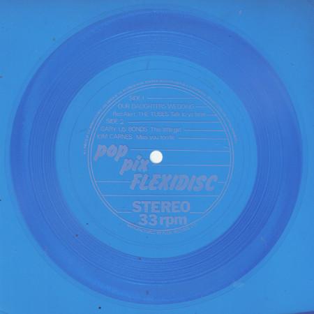 

7inch Record VARIOUS - Pop Pix Flexidisc NONE Not On Label 1981 UK Rock Used