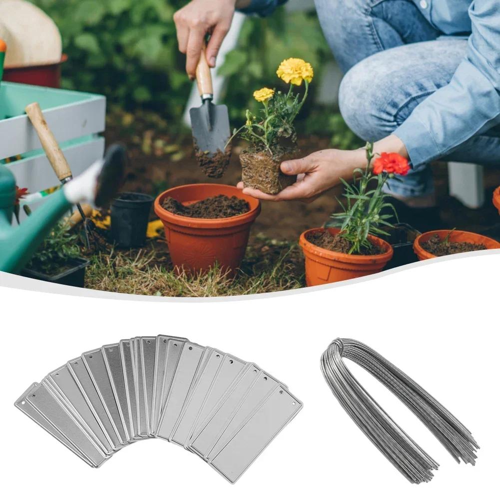 Tags Plant Labels DIY Double-Sided Write Indoor & Outdoor UV Resistant Waterproof With Hole 50 Set 82*25*0.5MM