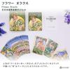 Flower Oracle Oracle Authentic Flower Art Nouveau by Antonella with Japanese Instructions Cards, Castelli,
