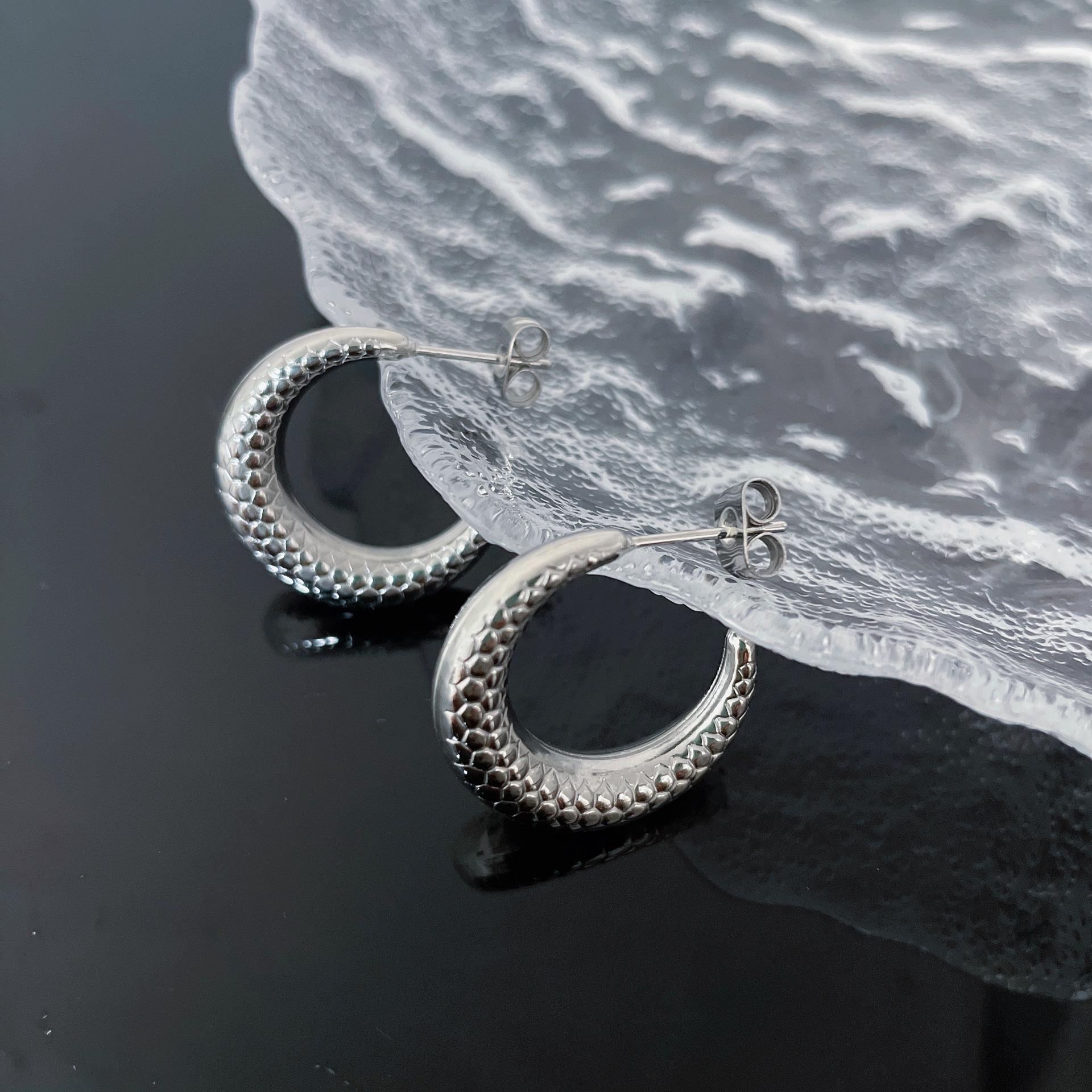 2025 Trendy Stainless Steel European & American Earrings - Classic Ins Niche Ear Studs