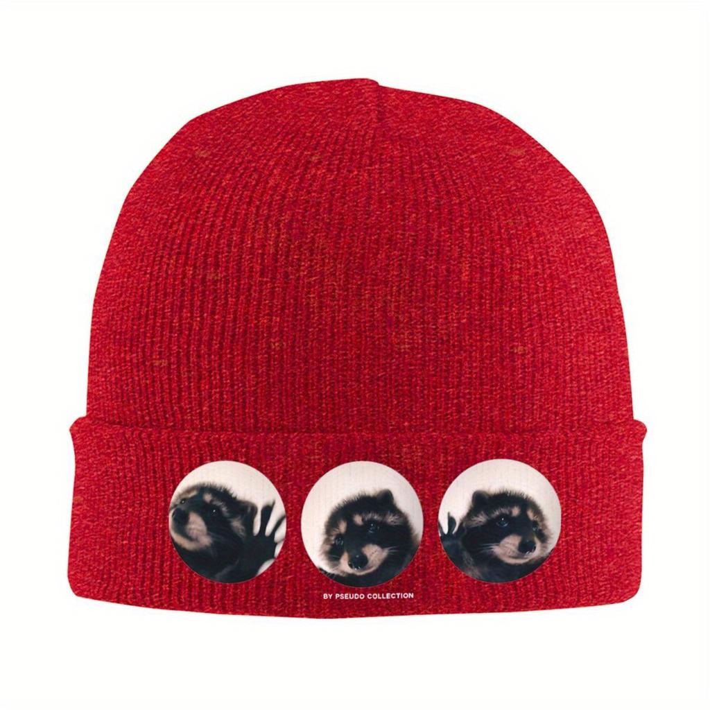 Pedro The Dancing Raccoon Knitted Hat for Women Unisex Skullies Beanies Winter Hat Acrylic Warm Melon Cap