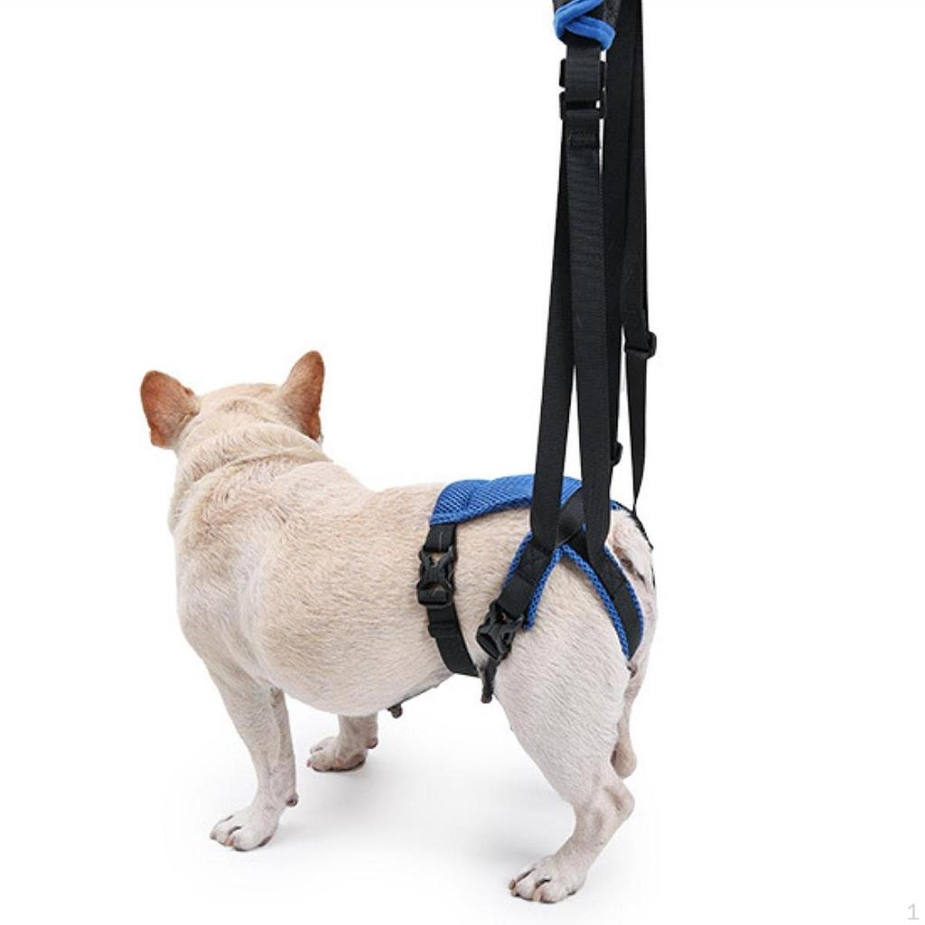 Dog Lift Harness Auxiliary Belt for Back Legs Walk Resistant Lifting Support Pets Assist