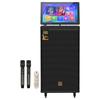 Songchuan International Portable High-Power KTV Stage Speaker CN Plug (adapter Included)
