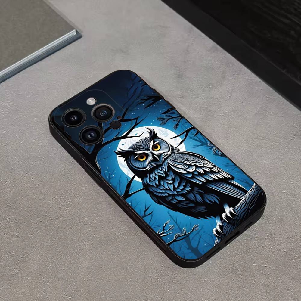 Cute C-Colorful Owl B-Bird Phone Case For iPhone 17,16,15,14,13,12,11 Plus,Pro Max,XS,X,XR,SE,Mini,8,7,Soft Silicone Black Cover iPhone16e