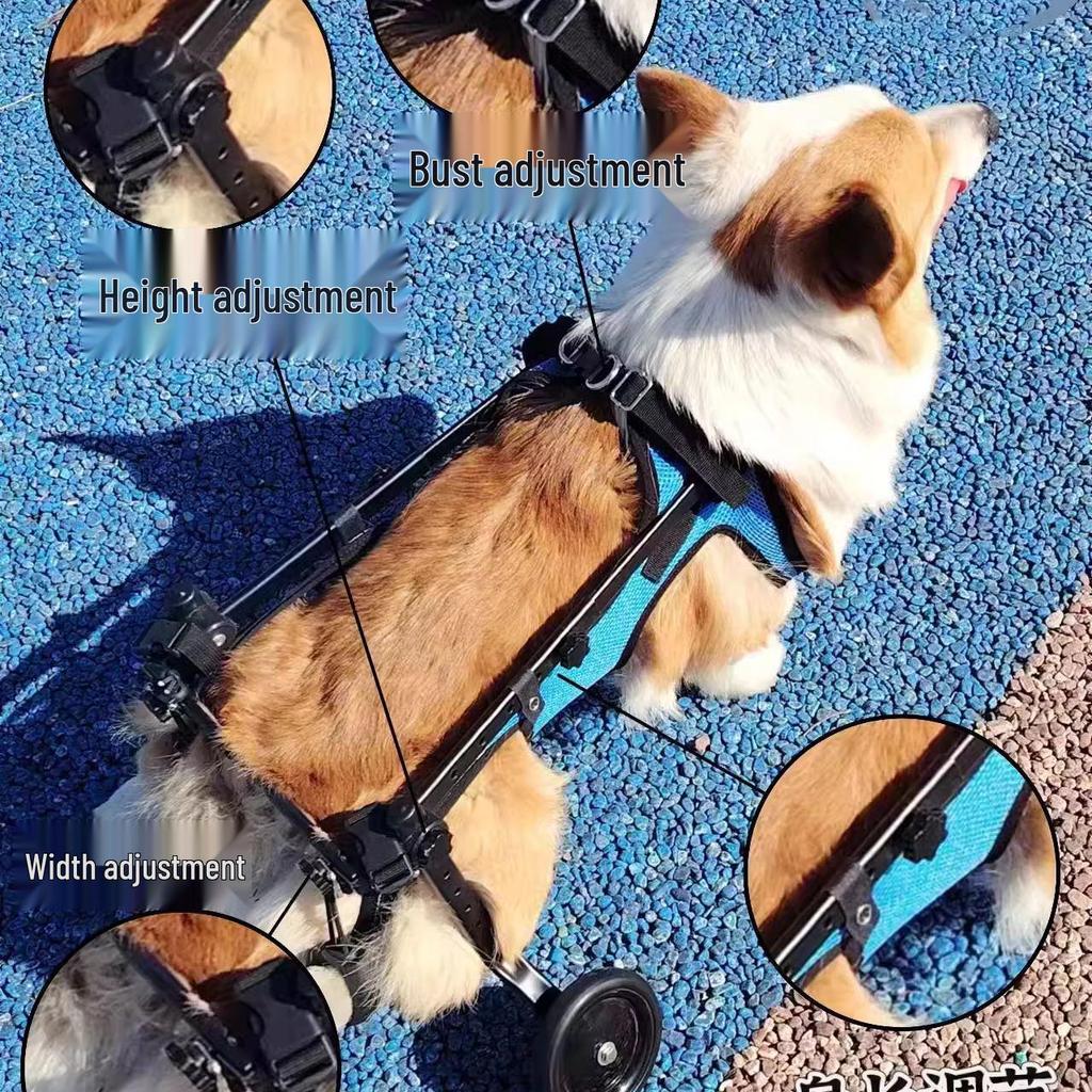 כיסא גלגלים/עגלה לכלב נכה: סיוע ניידות חוצה גבולות לשיקום