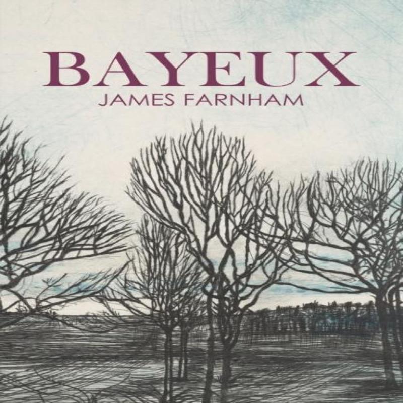 Bayeux by James Farnham Paperback Book 9781068639005