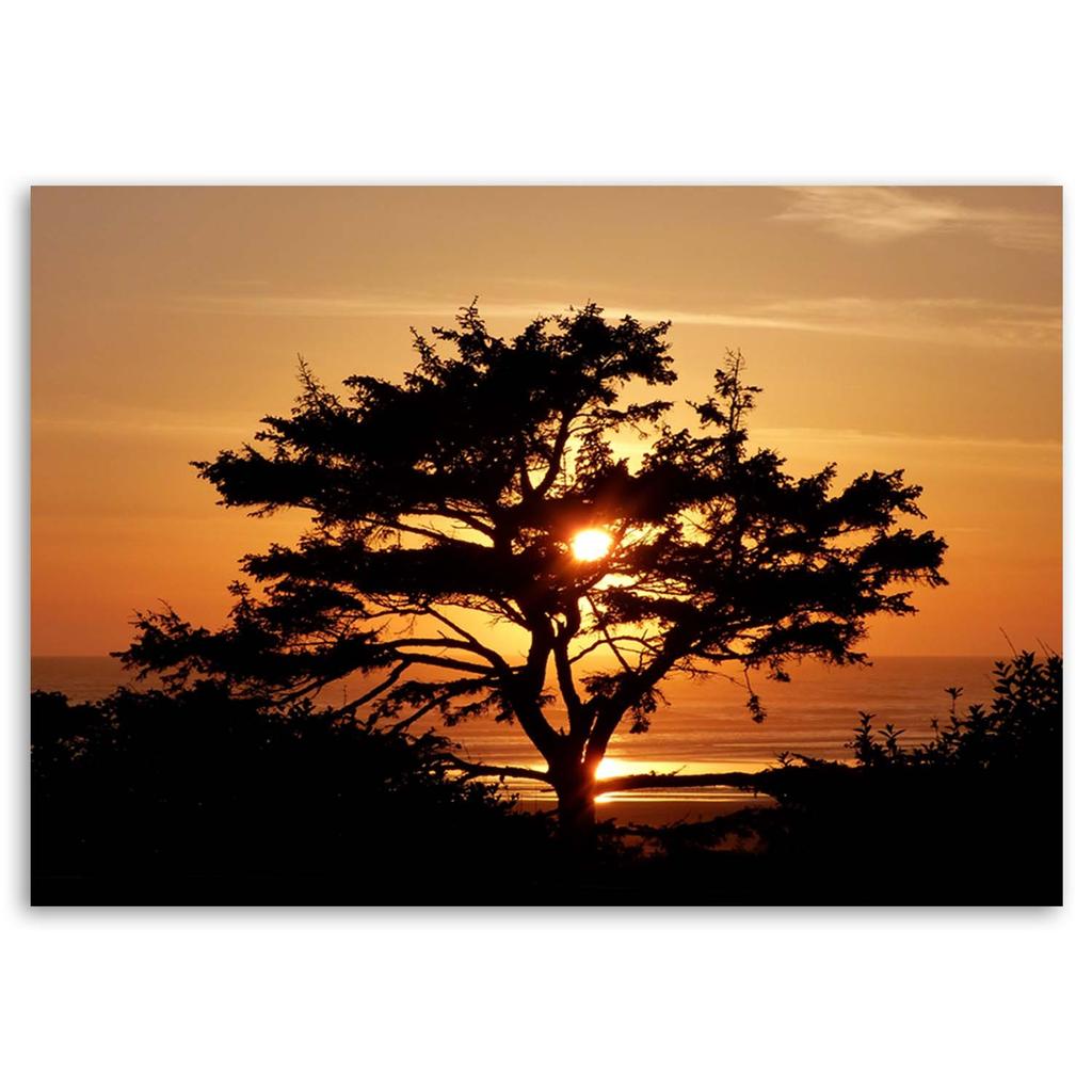 Canvas Print, Tree by the Sea At Sunset