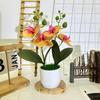 Artificial Phalaenopsis Flowers Decorative Plant For Home And Decoration Event