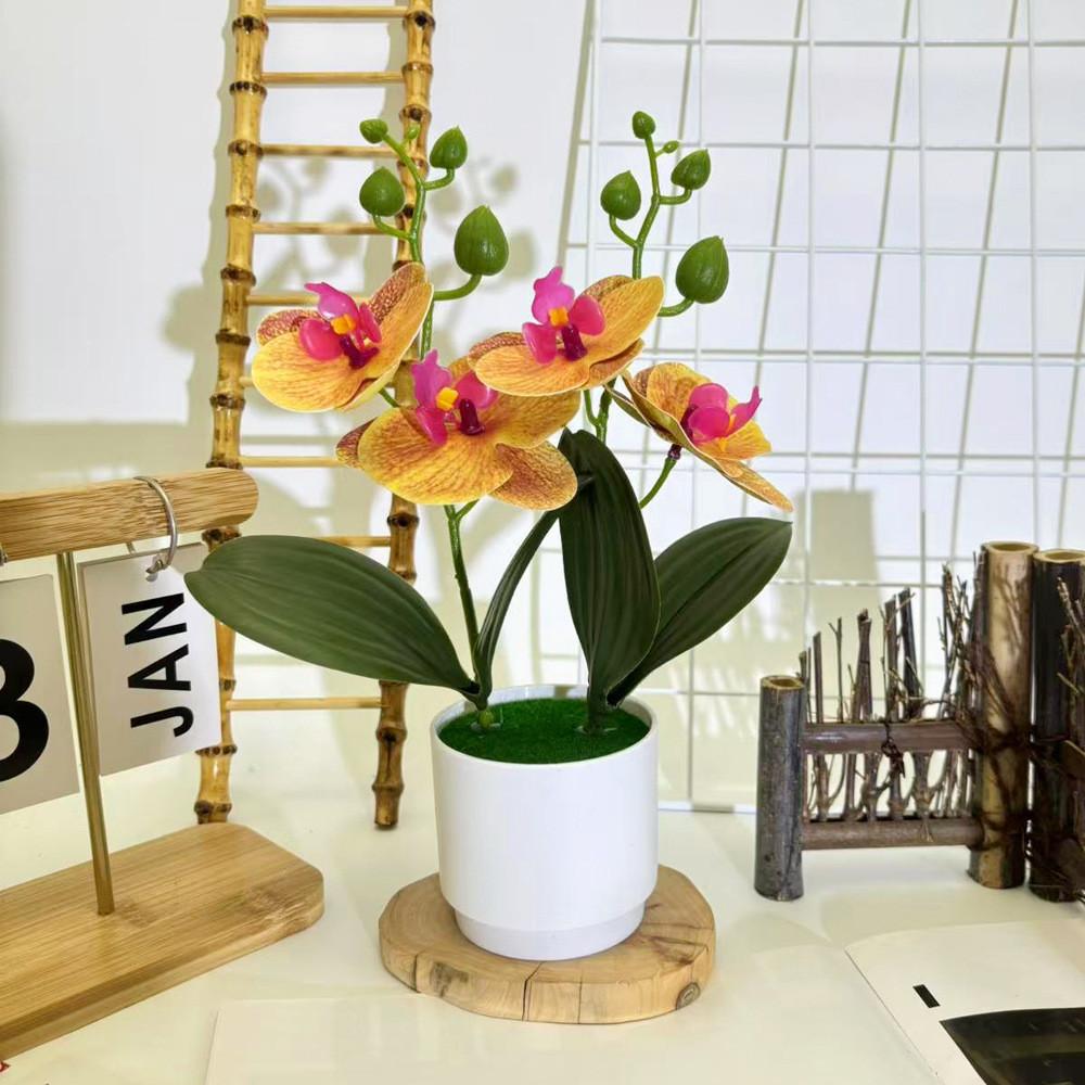 Artificial Phalaenopsis Flowers Decorative Plant For Home And Decoration Event
