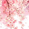 Kirschblüten-Blumen-Fensteraufkleber Frühling Aquarell Hängende Blumenranke Schmetterlinge Glastür-Aufkleber Wiederverwendbarer Fensteraufkleber für Zuhause Büro