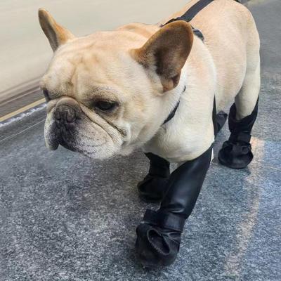 Protišpinivé psí postroje na nohy Pet Legging Boots Chrániče tlapek Francouzský buldoček Postroje na nohy pro malá až velká plemena