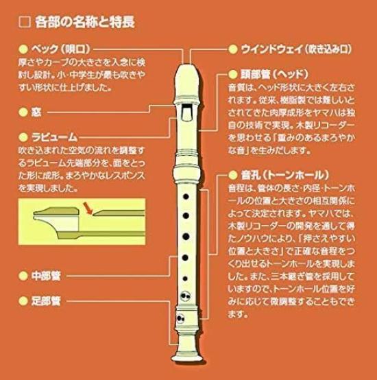 Toyama Musical Instruments AULOS Symphony (Wood Grain Finish) Soprano Recorder German Style 502BW(G) Cap Set