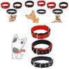 Pet Collar Made Of Pp Polypropylene Breathable And Comfortable Suitable For All Seasons