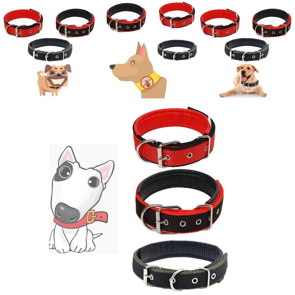 Pet Collar Made Of Pp Polypropylene Breathable And Comfortable Suitable For All Seasons