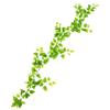 Artificial Rattan Green Pothos Leaf Vine: Decorative Plastic Plant for Ceiling or Home Décor