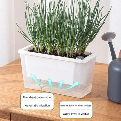 Self Watering Planter Plastic Flowerpot with Reservoir Easy Refill Plant Pot with Wick Ropes for Succulents Scallions Balcony Windowsill Gardening