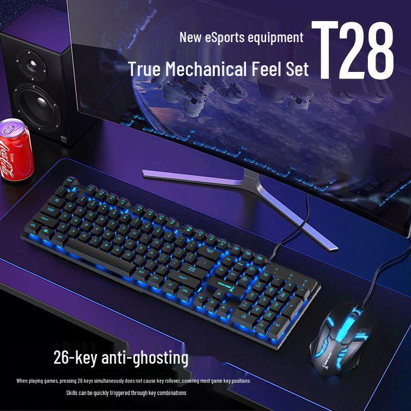 Luminous Wired Keyboard & Mouse Set with Floating Keycaps - USB, Mechanical Feel for Gaming Desktops & Laptops