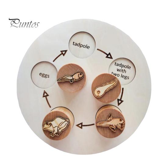 

1 набор обучающий поднос с жизненным циклом животных лягушка жизненный цикл птиц дошкольное обучение деревянные блоки головоломка доска для малышей мальчики девочки обучающий диск с животными Frog