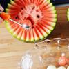 Stainless Steel Double-Sided Melon Baller - Fruit & Vegetable Carving Tool