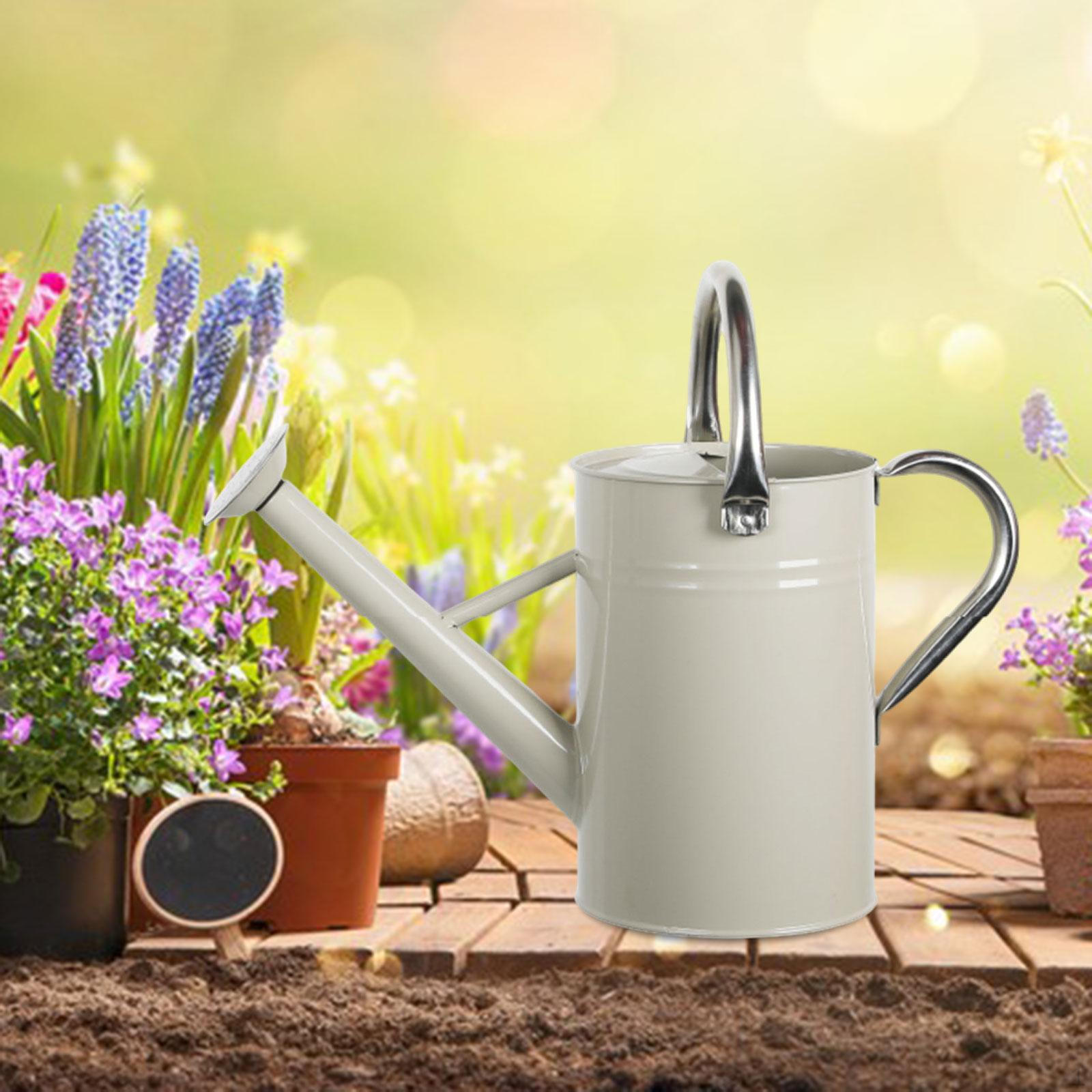 

5L Watering Can for Indoor And Outdoor Plants, Decorative, Sturdy Construction, Stainless Steel білий