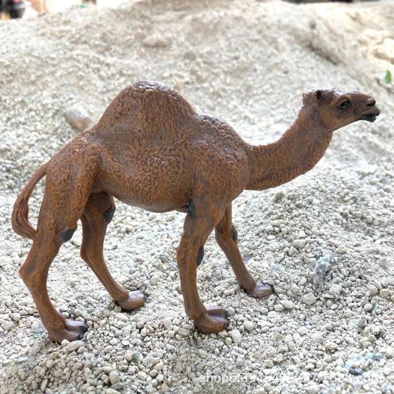Realistic Camel Model Solid Dromedary Bactrian Static Toy Ornament Home Decor
