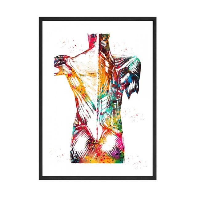 Trittico Su Tela Con Stampe Anatomiche – Piedi E Ossa In Stile Acquerello, Poster Per Studio Medico O Decorazione Casa, 30x40cm (Senza Cornice)