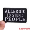 Hats Jeans Embridered DIY Letter Slogan Embroidery Sew Patch Iron On Patches For Clothing Thermoadhesive Patches Jackets DIY