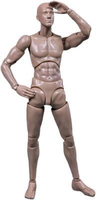 Scale Male Action Figure 6 Inch Male Action Figure Doll Collection Toy 1/12
