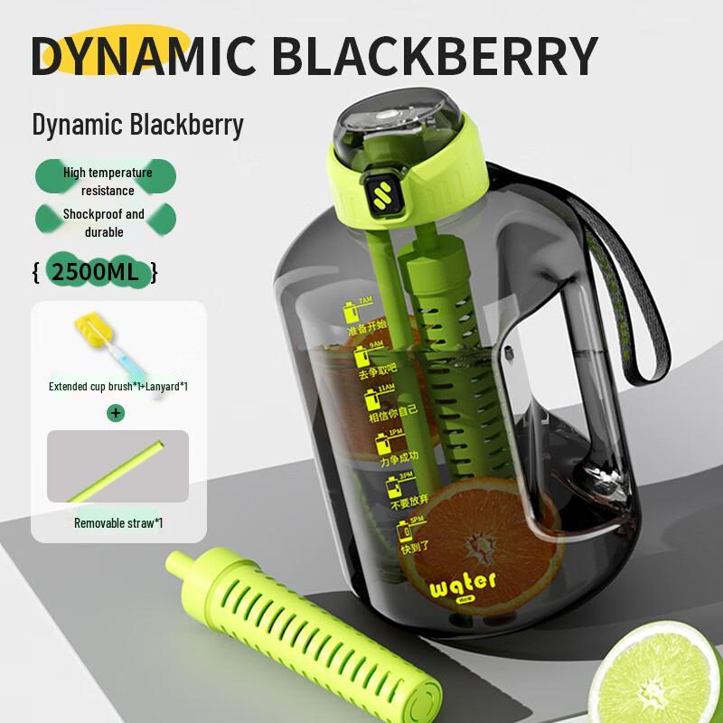 Portable Sports Water Bottle with Tea Infuser