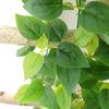 Grape Leaf Artificial Vine Green Plant Decoration